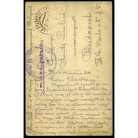 Magyar katonák a táborban bárányokkal, Belgrád, Tábori Posta pecséttel, Szinte László lapja, egyenruha, 1. világháború, 1916. március 24., 1910-es évek, Eredeti fotó, papírkép hátoldalán gyönyörű írás