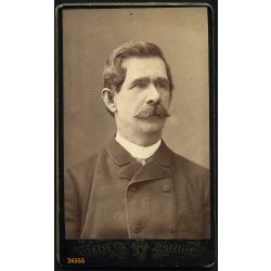   Veress műterem, Kolozsvár, Erdély,  elegáns bajuszos úr portréja, 1880-as évek, Eredeti CDV, vizitkártya fotó. 