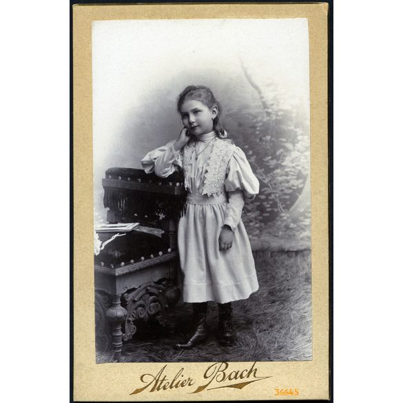 Bach műterem, Gyulafehérvár (Karlsburg, Alba Julia), Erdély, elegáns kislány gyönyörű ruhában, 1890-es évek, Eredeti CDV, vizitkártya fotó.  
