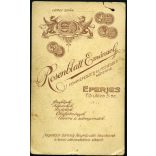 Rosenblatt Emánuel műterme, Eperjes, Felvidék, fiatal lány csodálatos hajjal, pöttyös ruhában, nyaklánccal, 1880-as évek Eredeti CDV, vizitkártya fotó. 