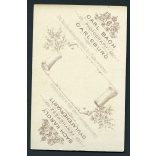 Bach műterem, Gyulafehérvár (Carlsburg), Erdély,  elegáns lány gyönyörű hajjal, nyaklánccal, portré, 1890-es évek, Eredeti CDV, vizitkártya fotó.  