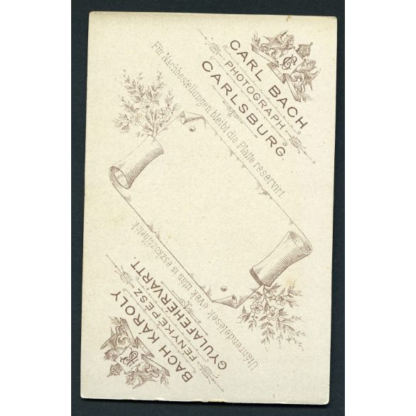 Bach műterem, Gyulafehérvár (Carlsburg), Erdély,  elegáns lány gyönyörű hajjal, nyaklánccal, portré, 1890-es évek, Eredeti CDV, vizitkártya fotó.  