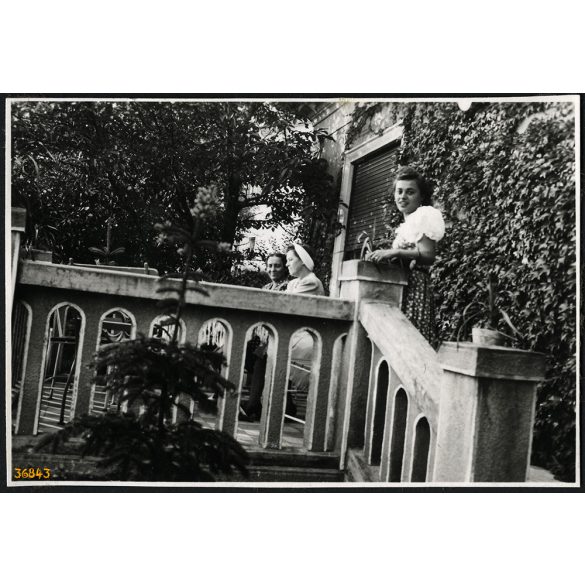 Elegáns hölgyek a Makláry-villa teraszán, Zebegény, helytörténet, Horthy-korszak, 1941, 1940-es évek, Pest megye, Eredeti fotó, papírkép, hátulján ragasztásnyomok.  