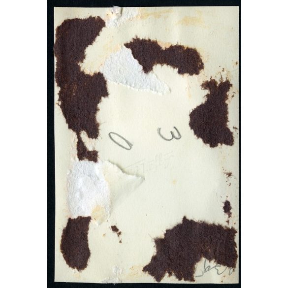 Fiú egyenruhában, Haditengerészeti emlékmű, Budapest, Horthy (Petőfi) híd, városkép, levente (?) egyenruha, Horthy-korszak, 1939, 1930-as évek, helytörténet. Eredeti fotó, papírkép, hátulján ragasztás