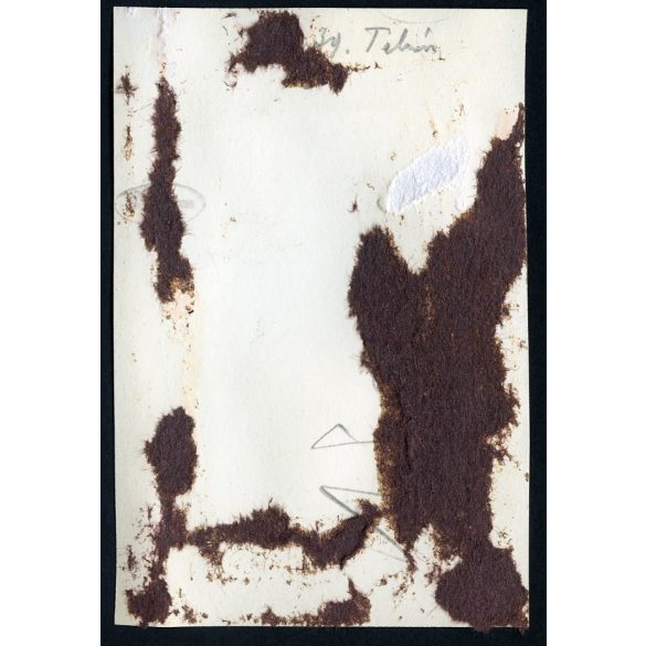 Séta a Tabánban, Budapest, Vár,  elegáns hölgy a fiával, Horthy-korszak, 1939, 1930-as évek, helytörténet. Eredeti fotó, papírkép, hátulján ragasztásnyomok, sérülés.  