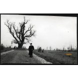 Rákóczi-szilfája, Balatonakarattya, elegáns úr kalapban, Akarattya, helytörténet, Veszprém megye, Horthy-korszak, 1939, 1930-as évek, helytörténet. Eredeti fotó, papírkép, hátulján ragasztásnyomok.   