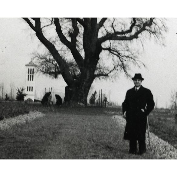 Rákóczi-szilfája, Balatonakarattya, elegáns úr kalapban, Akarattya, helytörténet, Veszprém megye, Horthy-korszak, 1939, 1930-as évek, helytörténet. Eredeti fotó, papírkép, hátulján ragasztásnyomok.   