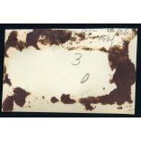 Rákóczi-szilfája, Balatonakarattya, elegáns úr kalapban, Akarattya, helytörténet, Veszprém megye, Horthy-korszak, 1939, 1930-as évek, helytörténet. Eredeti fotó, papírkép, hátulján ragasztásnyomok.   