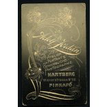 Jordan műterem, gyönyörű nő gyönyörű ruhában, Pinkafő-Hartberg, monarchia, 1890-es évek, Eredeti CDV, vizitkártya fotó.   