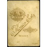 Kozics műterem, Pozsony, Felvidék, elegáns hölgy különös kalapban, portré, monarchia, 1870-es évek, Eredeti  kabinetfotó.  