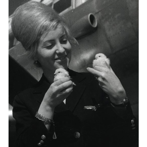 Nagyobb méret, MALÉV reklám, stewardess kiscsibékkel, Budapest, Ferihegy, repülőtér, egyenruha, repülőgép, különös, vicces, jármű, közlekedés, szocializmus,  1960-es évek, Eredeti fotó, papírkép.  