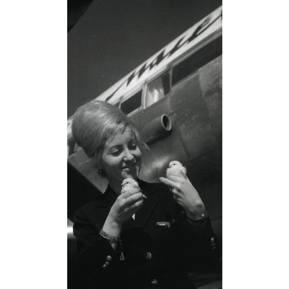 Nagyobb méret, MALÉV reklám, stewardess kiscsibékkel, Budapest, Ferihegy, repülőtér, egyenruha, repülőgép, különös, vicces, jármű, közlekedés, szocializmus,  1960-es évek, Eredeti fotó, papírkép.  