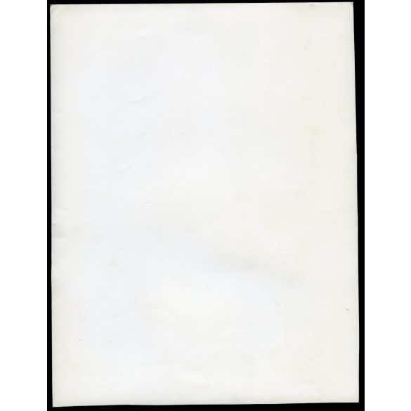 Nagyobb méret, MALÉV reklám, stewardess kiscsibékkel, Budapest, Ferihegy, repülőtér, egyenruha, repülőgép, különös, vicces, jármű, közlekedés, szocializmus,  1960-es évek, Eredeti fotó, papírkép.  