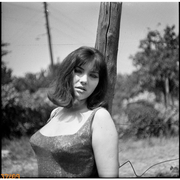 Pécsi Ildikó színművésznő portréja, Kotnyek Antal fotóművész felvétele, szocializmus, ismert, művész, színész, 1960-as évek,  Eredeti nagyméretű fotó negatív! 