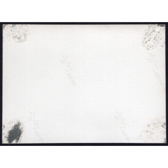 Élet a Szent Erzsébet-székesegyház és a Szent Mihály-kápolna kertjében, Kassa, Felvidék, utcakép, Horthy-korszak, templom, kápolna, egyház, vallás, helytörténet, 1935., 1930-s évek, Eredeti fotó