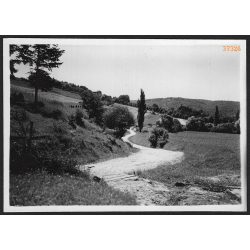   Margonya település határa, Margonya, Felvidék, Horthy-korszak, út, természet, helytörténet, 1935., 1930-s évek, Eredeti fotó, papírkép.   