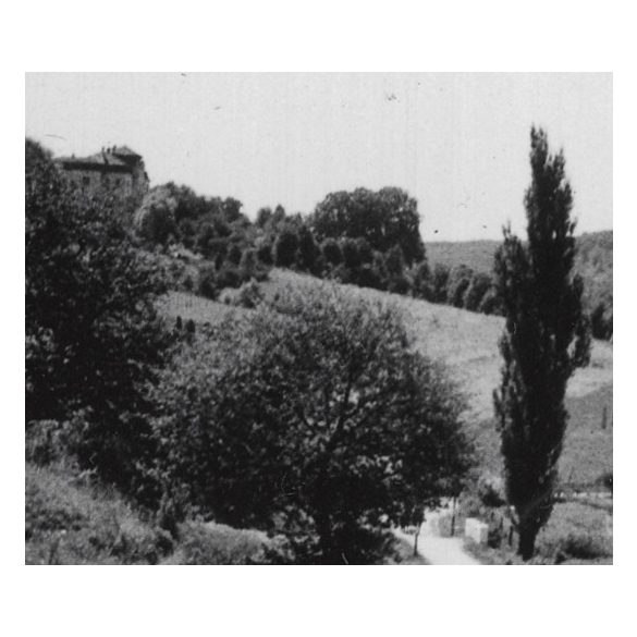 Margonya település határa, Margonya, Felvidék, Horthy-korszak, út, természet, helytörténet, 1935., 1930-s évek, Eredeti fotó, papírkép.   