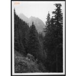 Utazás, Csütörtökhelyről - Sztracenáig, Felvidék, utcakép, Horthy-korszak, természet, hegy, helytörténet, 1935., 1930-s évek, Eredeti fotó, papírkép.  