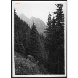   Utazás, Csütörtökhelyről - Sztracenáig, Felvidék, utcakép, Horthy-korszak, természet, hegy, helytörténet, 1935., 1930-s évek, Eredeti fotó, papírkép.  