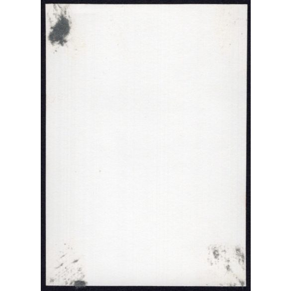 Telepesek a Sztracenai völgyben, Sztracena, Felvidék, utcakép, Horthy-korszak, természet, faház, helytörténet, 1935., 1930-s évek, Eredeti fotó, papírkép.  