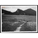 Délutáni pihenő a Dobsinai jégbarlang környékén, Dobsina, Felvidék, Horthy-korszak, természet, fahíd, helytörténet, 1935., 1930-s évek, Eredeti fotó, papírkép. 