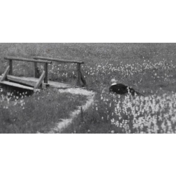 Délutáni pihenő a Dobsinai jégbarlang környékén, Dobsina, Felvidék, Horthy-korszak, természet, fahíd, helytörténet, 1935., 1930-s évek, Eredeti fotó, papírkép. 