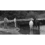 Lovakkal a Gölnic patakban, Gölnicbánya, Felvidék, utcakép, Horthy-korszak, állatok, lovak, helytörténet, 1935., 1930-s évek, Eredeti fotó, papírkép.  