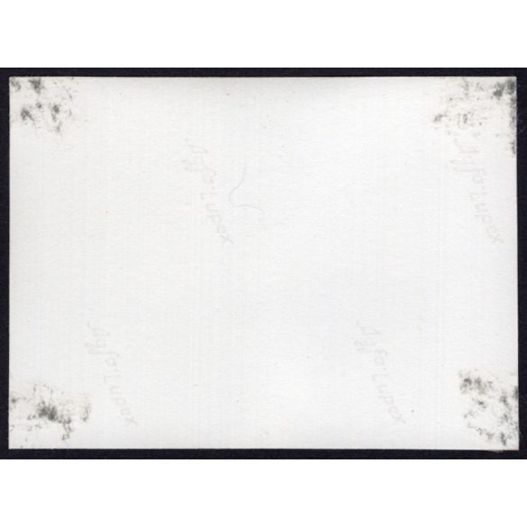 Lovasszekérrel a régi, késmárki Evangélikus fatemplom előtt, Késmárk, Felvidék, utcakép, Horthy-korszak, templom, egyház, vallás, helytörténet, 1935., 1930-s évek, Eredeti fotó, papírkép.   