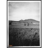 Szalmabálák, a távolban Lubló vára, Ólubló, Felvidék, utcakép, Horthy-korszak, természet, építészet, vár, helytörténet, 1935., 1930-s évek, Eredeti fotó, papírkép.   