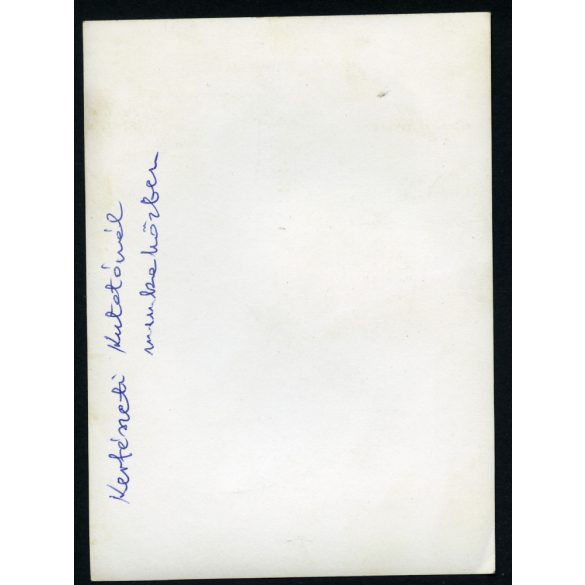 Skoda kombi kisteherautó, Kertészeti Kutatóintézet, jármű, közlekedés, szocializmus, 1960-as évek, Eredeti fotó, hátulján feliratozott papírkép. 