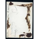 Harangláb Horthyt éltető felirattal, Szatmárnémeti, Erdély, úr és hölgyek nemesi díszruhában, Dessewffy, díszmagyar, 2. világháború, Horthy-korszak, helytörténet, 1941, 1940-es évek, Eredeti fotó, pap