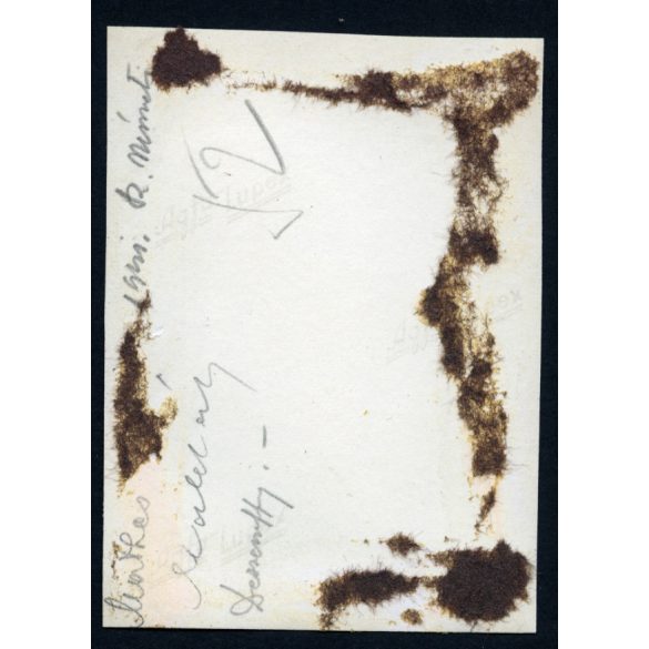 Harangláb Horthyt éltető felirattal, Szatmárnémeti, Erdély, úr és hölgyek nemesi díszruhában, Dessewffy, díszmagyar, 2. világháború, Horthy-korszak, helytörténet, 1941, 1940-es évek, Eredeti fotó, pap