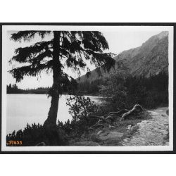   A poprádi-tó, 1500 méter magasan, Poprád, Felvidék, Horthy-korszak, természet, tó, helytörténet, 1935., 1930-s évek, Eredeti fotó, papírkép.   
