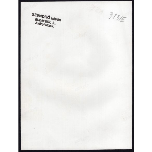 Nagyobb méret, Szendrő István fotóművészeti alkotása, A Gyöngyösbokréta mozgalom felvonulása, járművek, villamos, autó, feliratok, zászlók, Budapest, Astoria, népviselet, kultúra, Pest megye, 