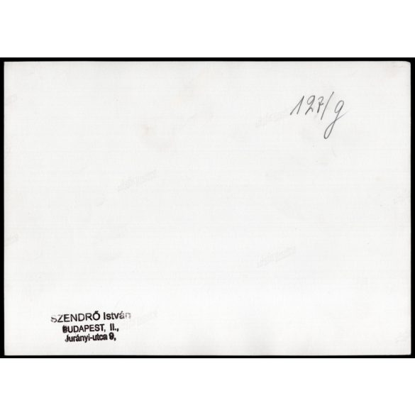 Nagyobb méret, Szendrő István fotóművészeti alkotása, Horthy Miklós az ünnepségen, Budapest, kormányzó, katonák, huszárok, lovak, kitüntetések, Pest megye, 1930-as évek. 