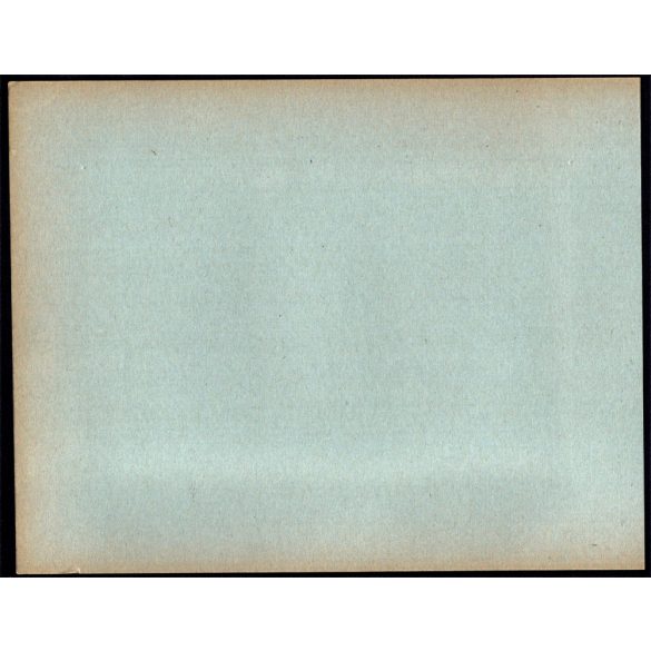 Nagyobb méret, Szatmárnémeti, Erdély, a Magyar Királyi Államvasutak Fiúnevelő Intézetének és Árvaházának felavatása. A résztvevők között híres nemesek, politikusok és egyházi vezetők, 1941. szeptember