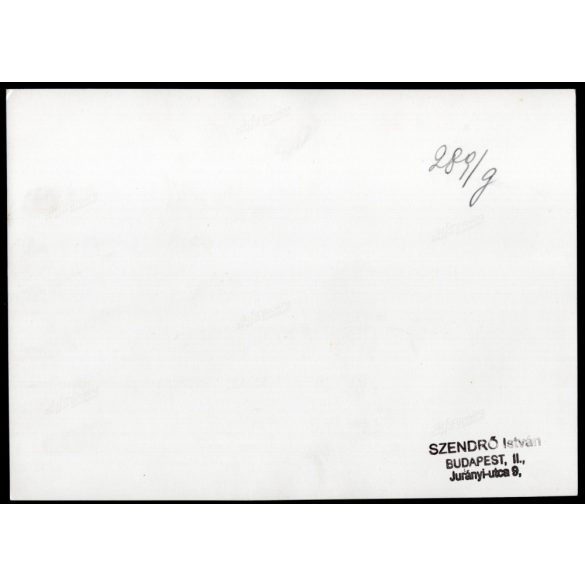 Nagyobb méret, Szendrő István fotóművészeti alkotása, Szent Jobb körmenet a fővárosban, Budapest, egyházi méltóságok, őrök, 1930-as évek. Eredeti, pecséttel jelzett fotó, papírkép,