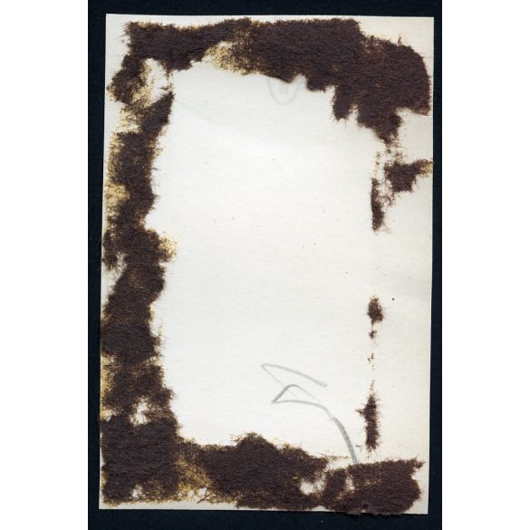 Vitéz Horthy Istvánné zászlót avat a Magyar Királyi Államvasutak Fiúnevelő Intézetének és Árvaházának megnyitó ünnepén. Szatmárnémeti, Erdély, 2. világháború, Horthy-korszak, helytörténet, 1941. szept