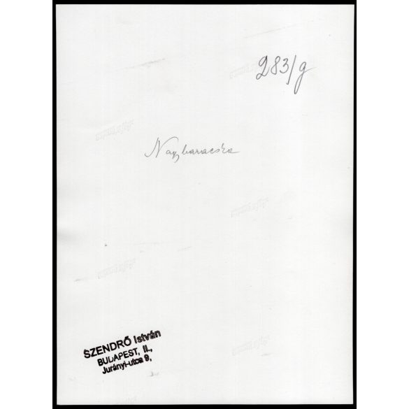 Nagyobb méret, Szendrő István fotóművészeti alkotása, fiatal nő portréja, nagybaracskai népviseletben, Nagybaracska, népviselet, ékszerek, kiegészítők, Bács-Kiskun megye, 1930-as évek. 