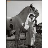 Nagyobb méret, Szendrő István fotóművészeti alkotása, csikós a lovával, lóvásáron, népviselet, kalap, 1930-as évek. Eredeti, pecséttel jelzett fotó, papírkép, Agfa Brovira papíron. 