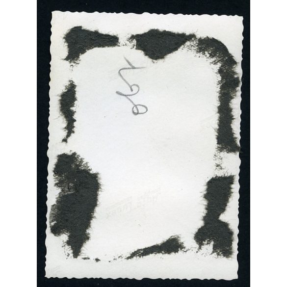 Elegáns hölgy kutyával egy diplomata Mercedes Benz gépkocsiban, magyar zászló, jármű, közlekedés, Horthy-korszak, 1940-es évek, Eredeti fotó,  papírkép. 