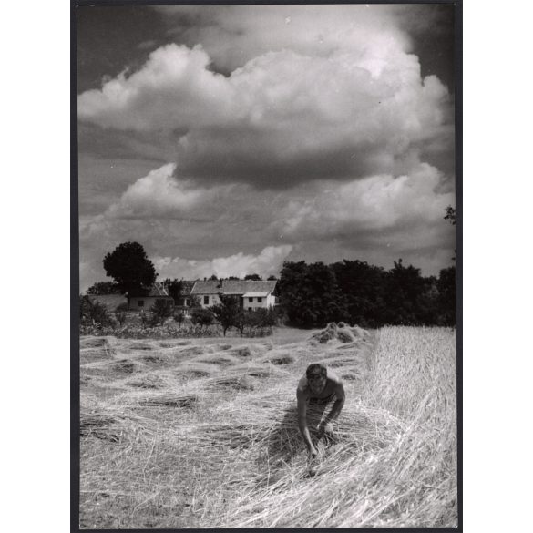 Nagyobb méret, Szendrő István fotóművészeti alkotása, nyári nap mezőn, tanya, búza, felhők, 1930-as évek. Eredeti, pecséttel jelzett fotó, papírkép, Agfa Brovira papíron. 