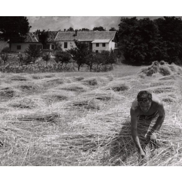 Nagyobb méret, Szendrő István fotóművészeti alkotása, nyári nap mezőn, tanya, búza, felhők, 1930-as évek. Eredeti, pecséttel jelzett fotó, papírkép, Agfa Brovira papíron. 