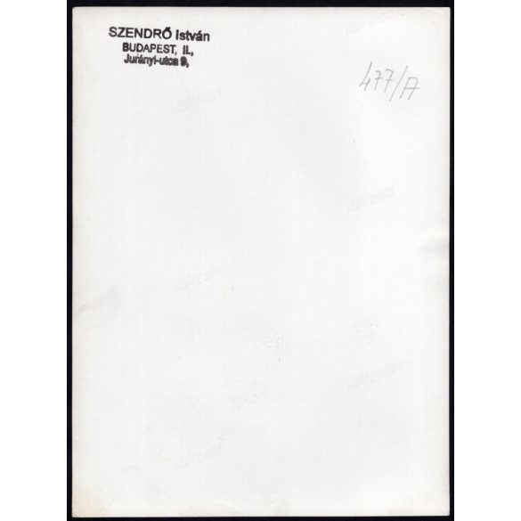 Nagyobb méret, Szendrő István fotóművészeti alkotása, tigris a rácsok mögött, állat, 1930-as évek. Eredeti, pecséttel jelzett fotó, papírkép, Agfa Brovira papíron. 