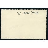 A Maros Evezős Klub sportolói, Arad, Erdély, Maros-folyó, fürdőruha, sport, fiú, strand, fürdőélet,  Horthy-korszak, 1939. szeptember, 1930-as évek, helytörténet. Eredeti fotó, papírkép.   