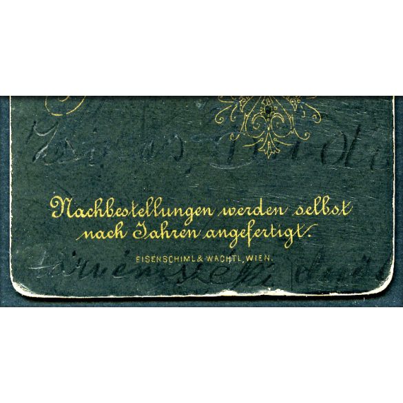 Kofsyna műterem, Lugos, Erdély,  hátoldalon nevesített elegáns fiatalember, férfi portréja, 1890-es évek, Eredeti CDV, hátulján feliratozott vizitkártya fotó (Zsinas Dudi ((?)) törvényszéki elnök).  