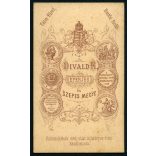 Divald műterem, Eperjes, Felvidék, elegáns előkelő hölgy gyönyörű hajjal, monarchia, 1875., 1870-es évek, Eredeti CDV, vizitkártya fotó.