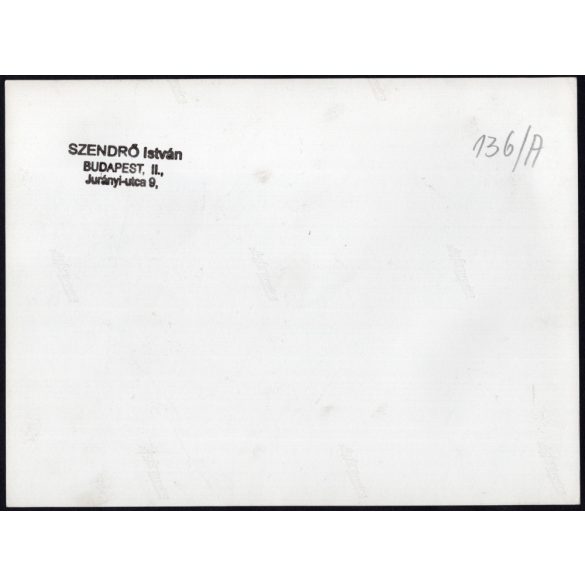 Nagyobb méret, Szendrő István fotóművészeti alkotása, földművelés állatokkal, szürke szarvasmarha, 1930-as évek. Eredeti, pecséttel jelzett fotó, papírkép, Agfa Brovira papíron.