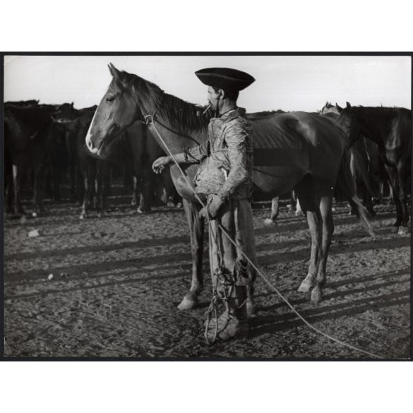 Nagyobb méret, Szendrő István fotóművészeti alkotása, lovász a lovával, pipa, kalap, állatok, lovak, 1930-as évek. Eredeti, pecséttel jelzett fotó, papírkép, Agfa Brovira papíron. 