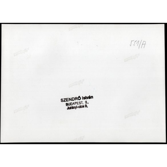 Nagyobb méret, Szendrő István fotóművészeti alkotása, kutyák a kosárban, állatok, 1930-as évek. Eredeti, pecséttel jelzett fotó, papírkép, Agfa Brovira papíron. Dekorációnak, ajándéknak is kiváló.